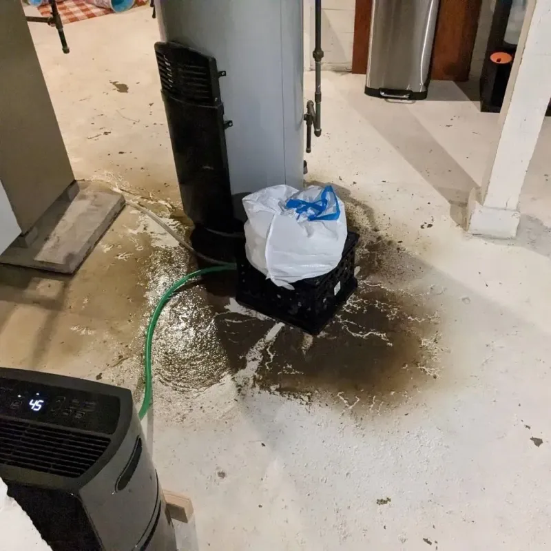 Sewage Backup Cleanup Service in Delta, UT